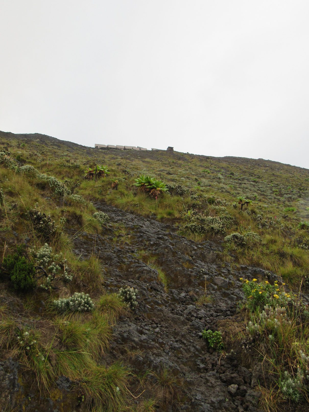 ultimo-tramo-del-sendero